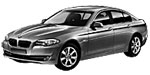 BMW F10 P213D Fault Code